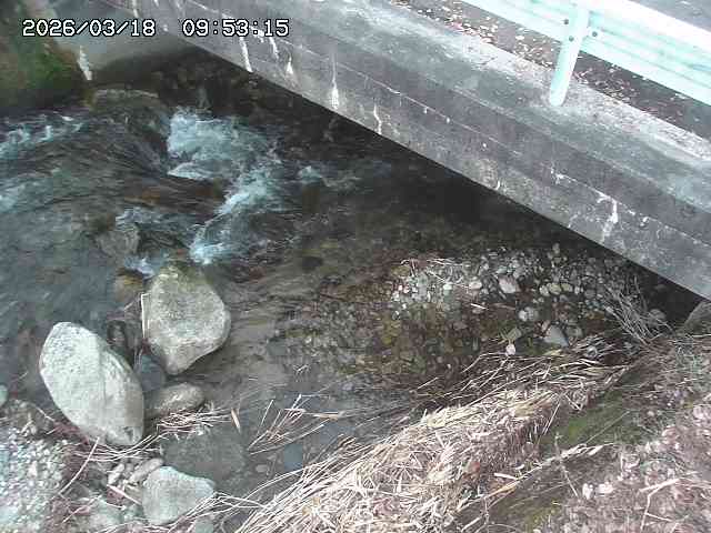 取得できませんでした