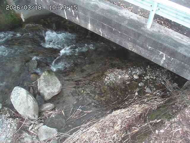 取得できませんでした