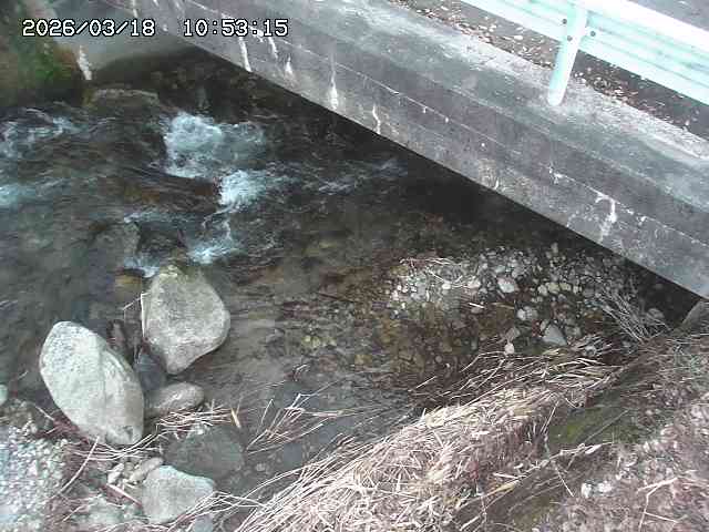 取得できませんでした