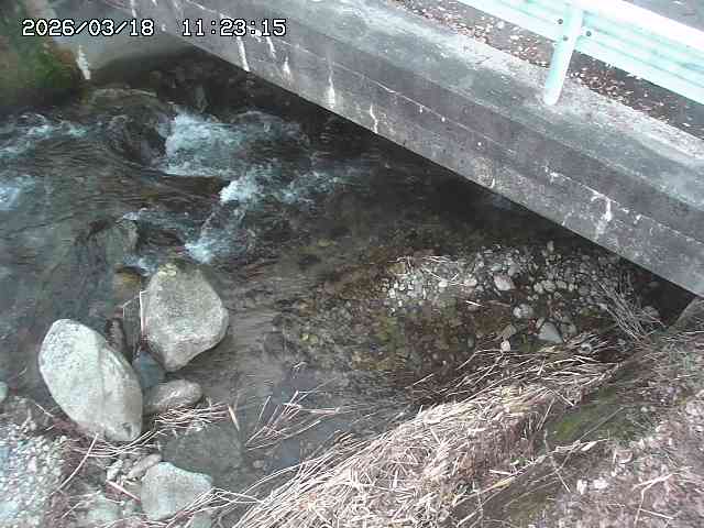 取得できませんでした