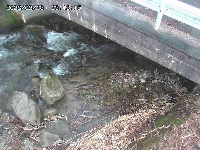 取得できませんでした