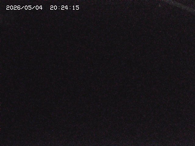 取得できませんでした