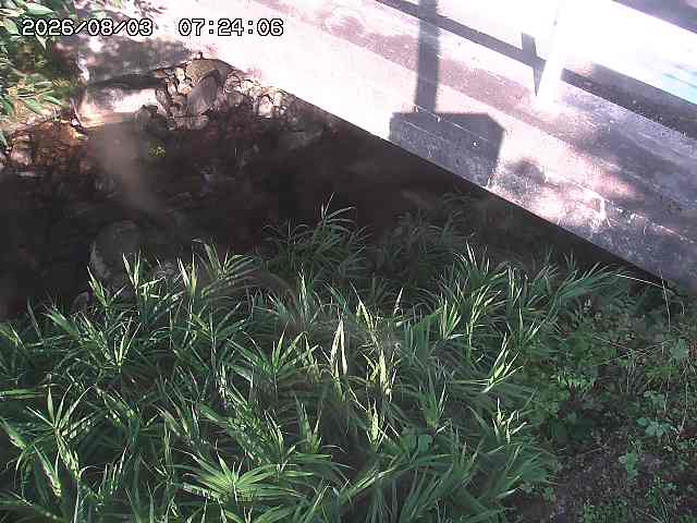 取得できませんでした