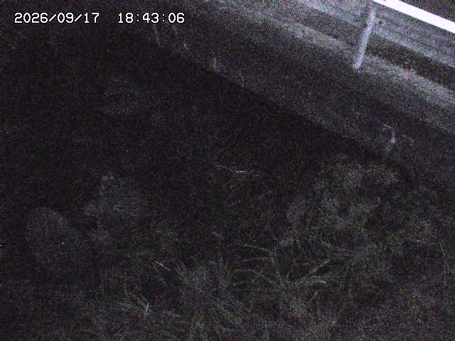 取得できませんでした