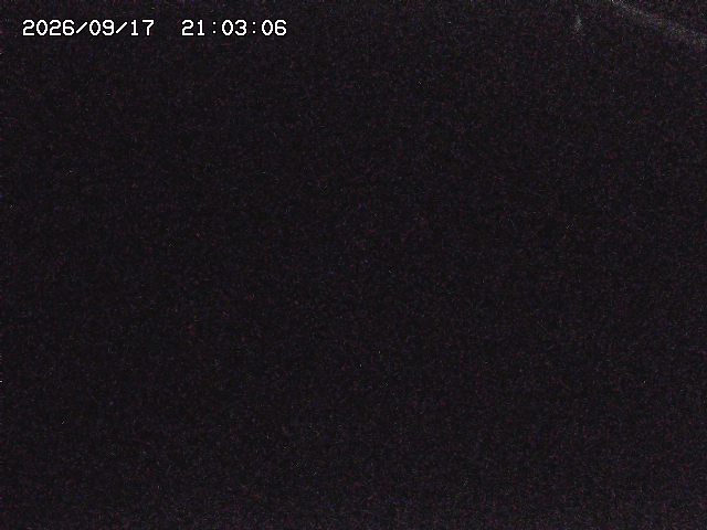 取得できませんでした