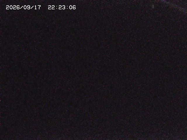 取得できませんでした