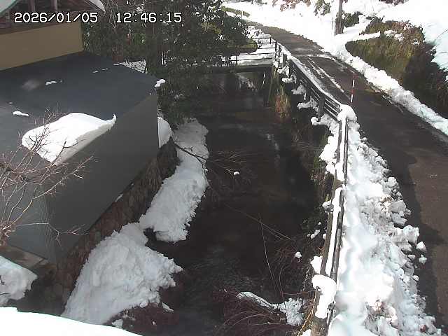 取得できませんでした