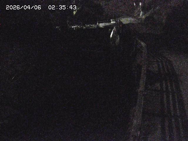 取得できませんでした