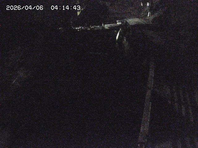 取得できませんでした