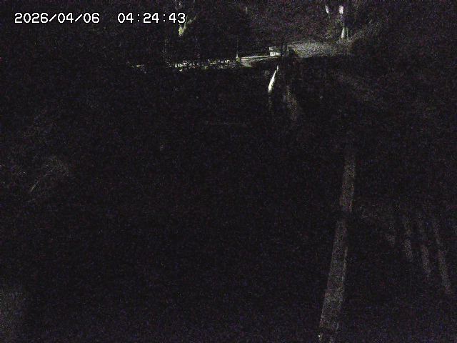 取得できませんでした