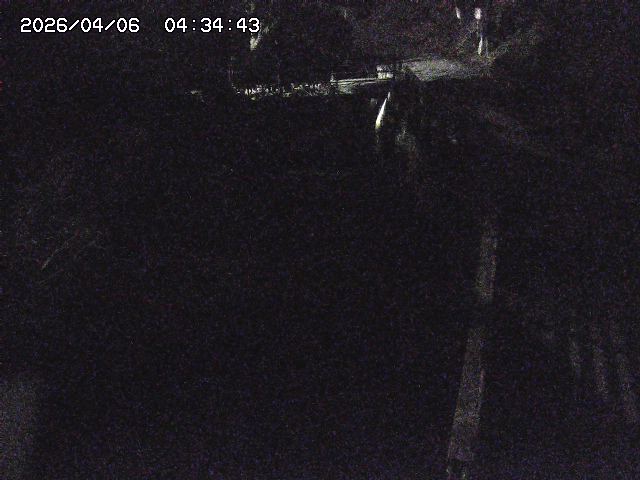 取得できませんでした