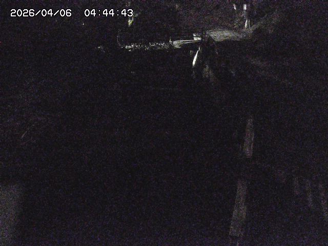 取得できませんでした