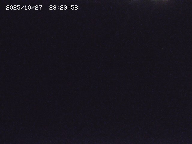取得できませんでした