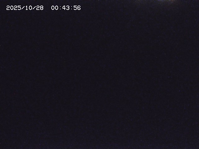 取得できませんでした