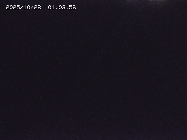 取得できませんでした