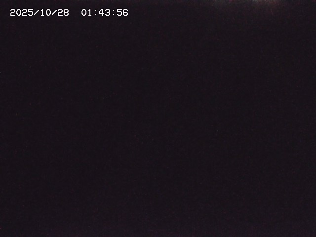 取得できませんでした