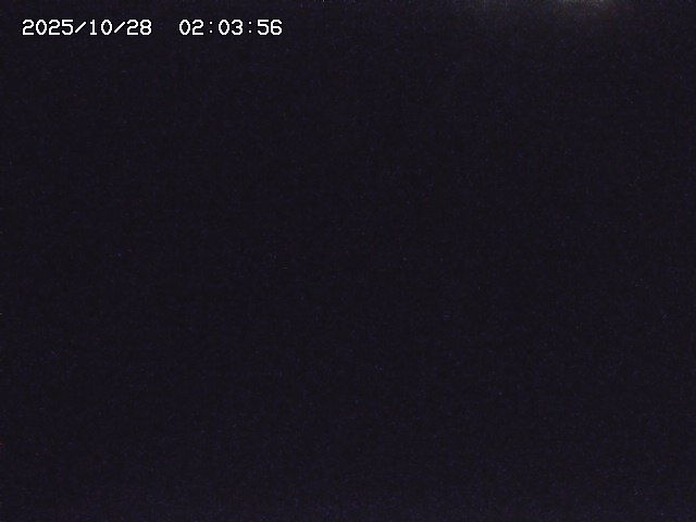 取得できませんでした