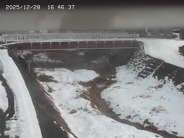 取得できませんでした