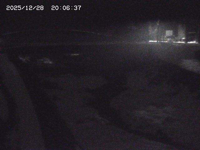 取得できませんでした