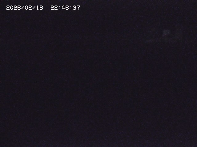 取得できませんでした