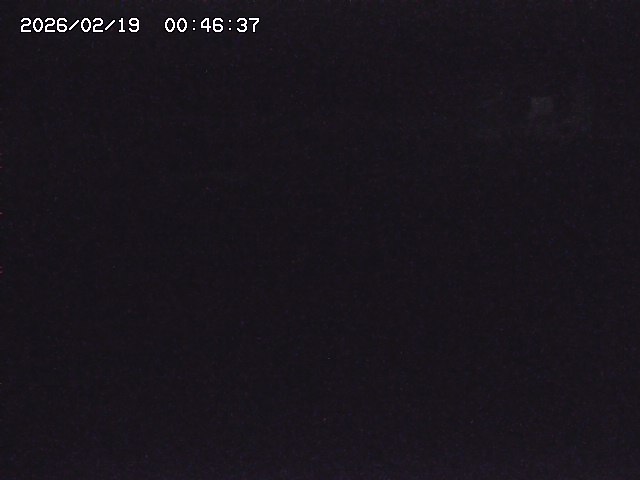 取得できませんでした