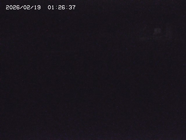 取得できませんでした