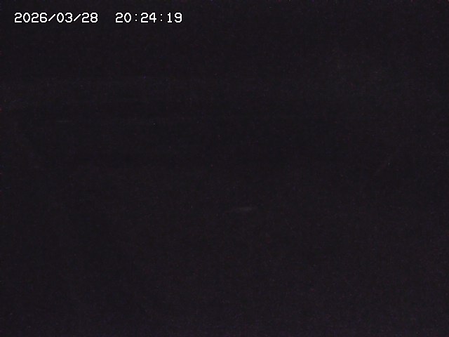 取得できませんでした