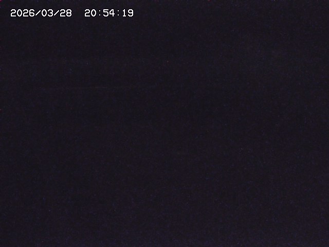 取得できませんでした