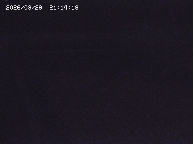 取得できませんでした