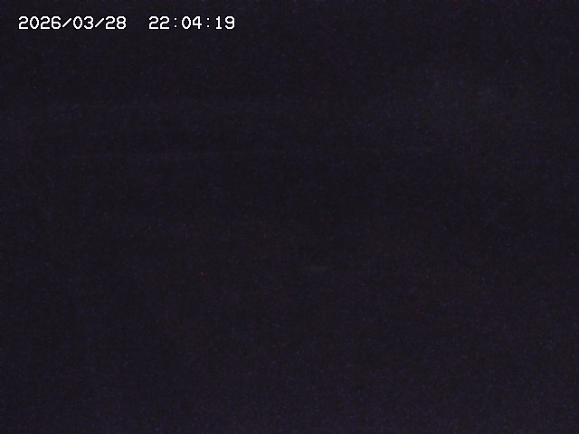 取得できませんでした