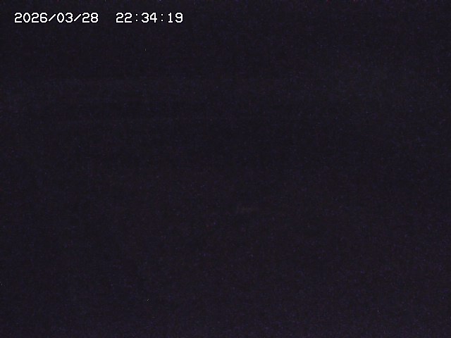 取得できませんでした