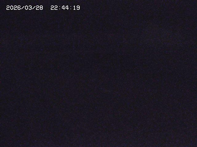 取得できませんでした