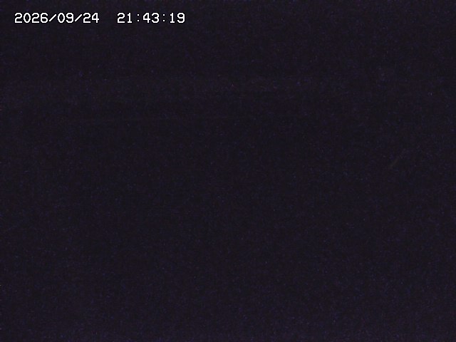 取得できませんでした