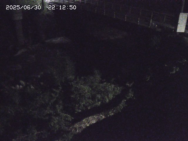 取得できませんでした