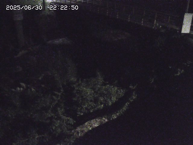 取得できませんでした