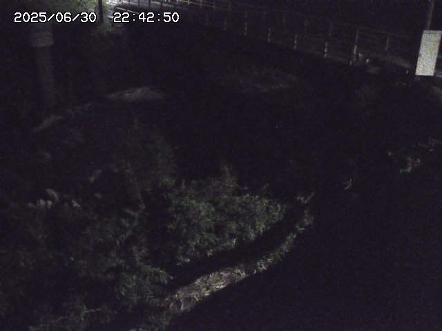 取得できませんでした