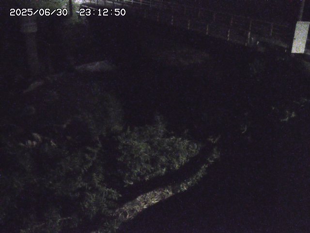 取得できませんでした