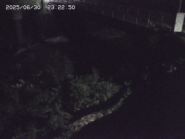 取得できませんでした