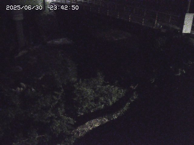 取得できませんでした