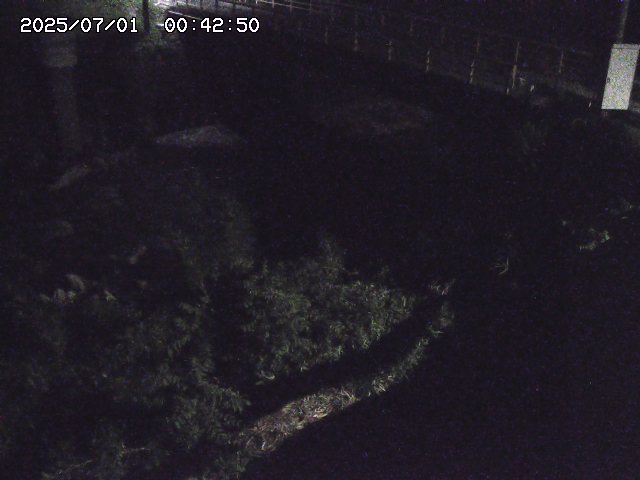 取得できませんでした