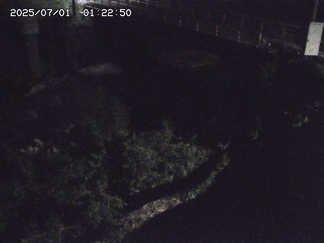 取得できませんでした