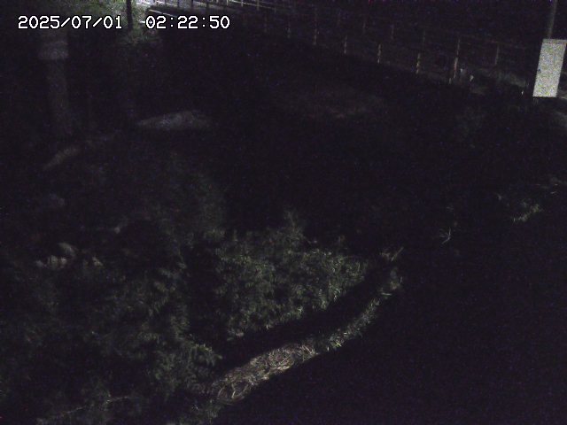 取得できませんでした