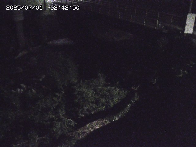 取得できませんでした