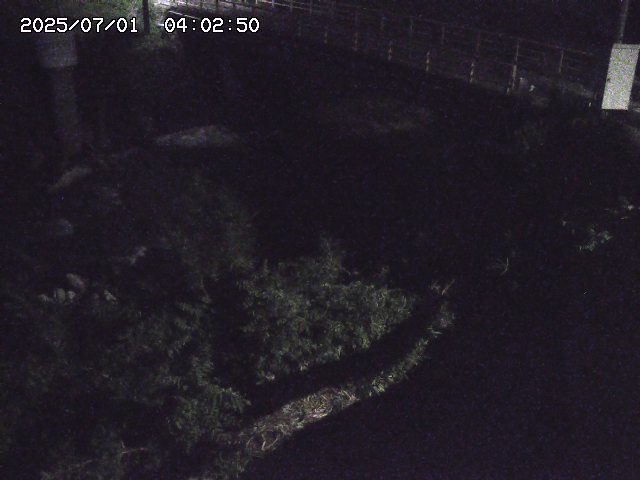 取得できませんでした