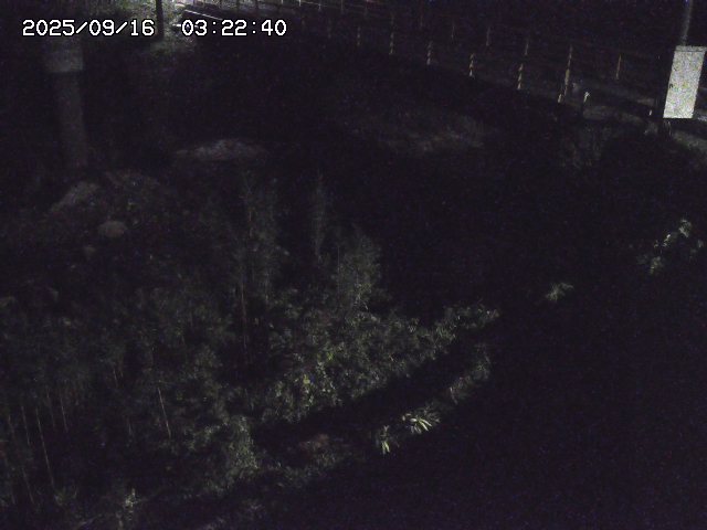 取得できませんでした