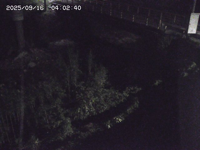 取得できませんでした