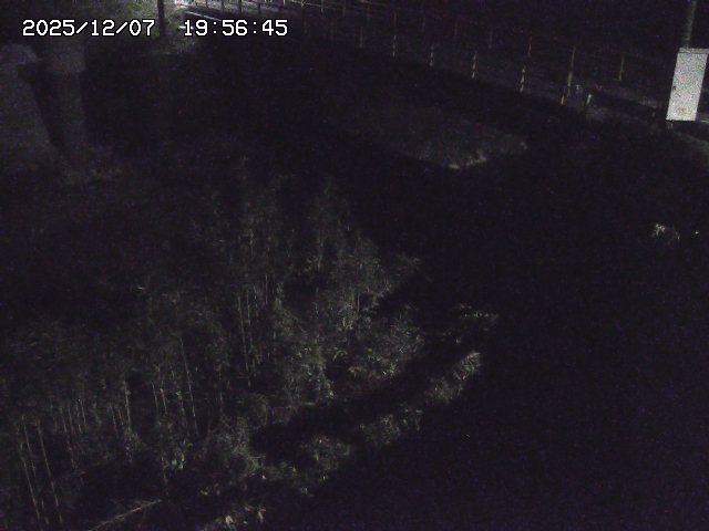 取得できませんでした