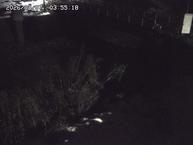 取得できませんでした