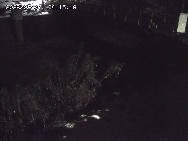 取得できませんでした