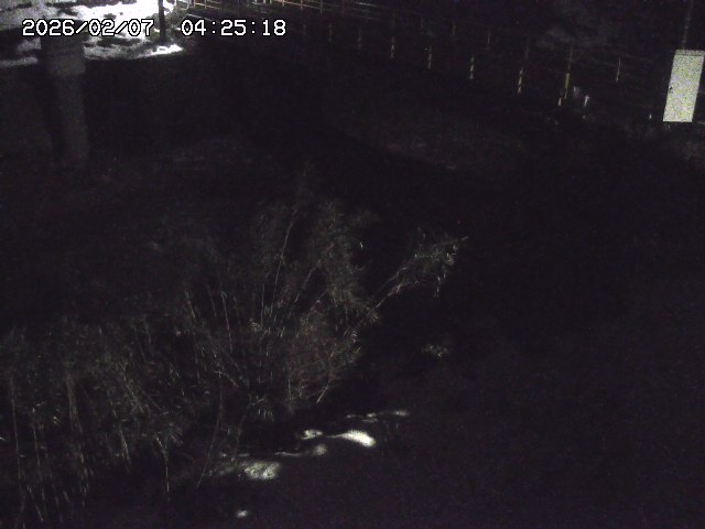 取得できませんでした